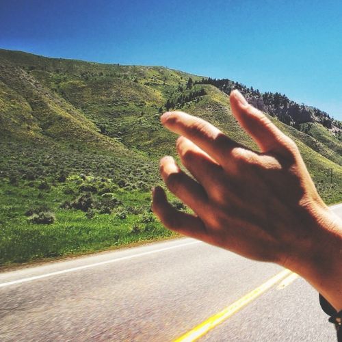 Embracing Freedom and Connection with Nature