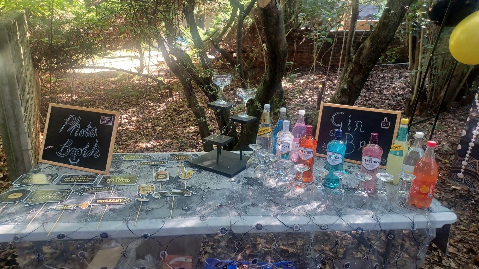 Ladies High Tea 2026